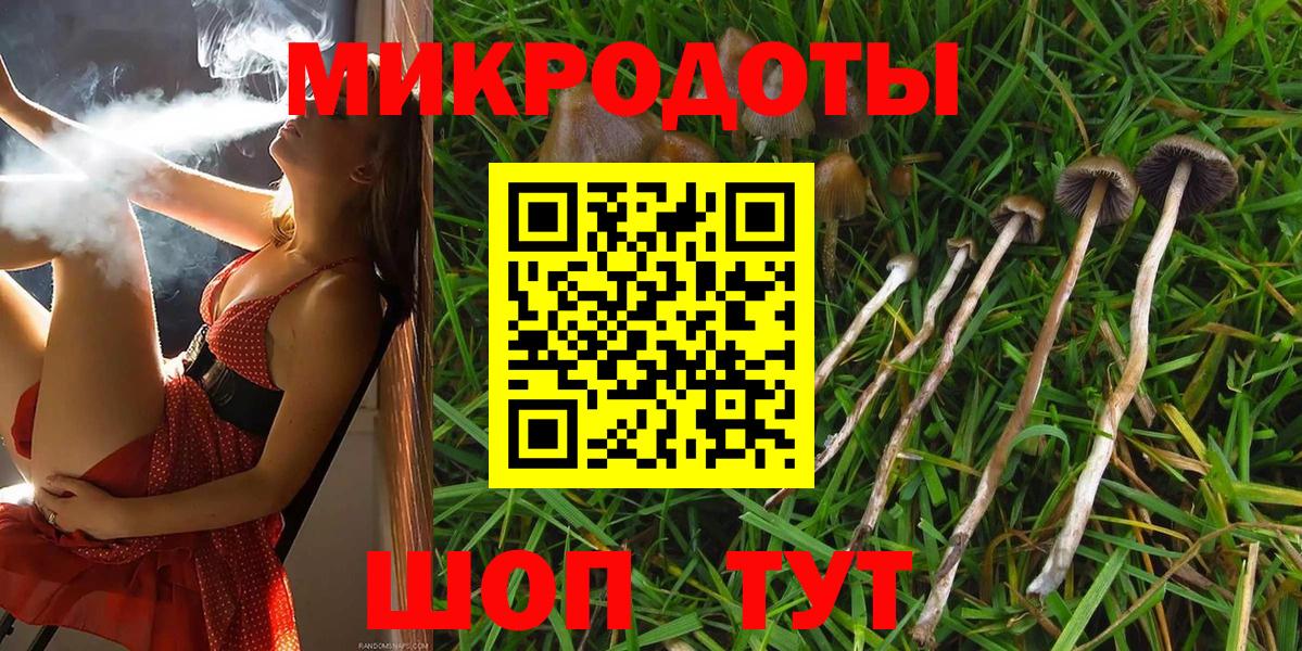 Псилоцибиновые грибы GOLDEN TEACHER Солнечногорск