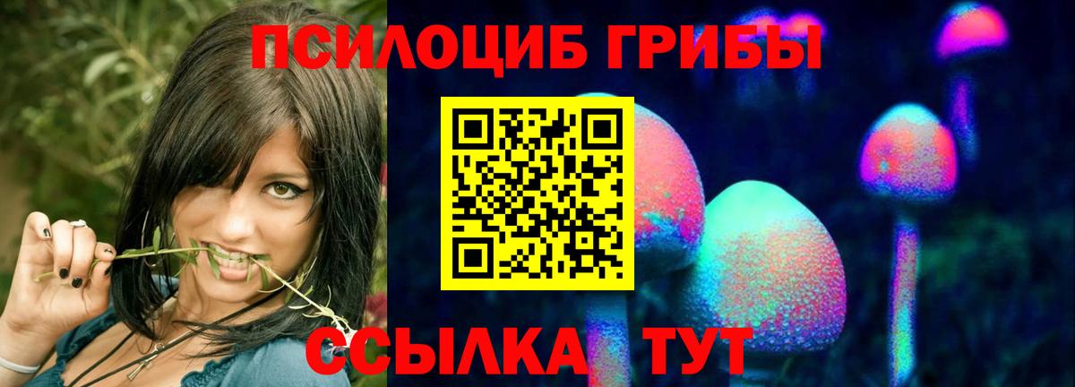 Солнечногорск  Галлюциногенные грибы Psilocybe  Вход с VPN  Галлюциногенные грибы мухоморы 